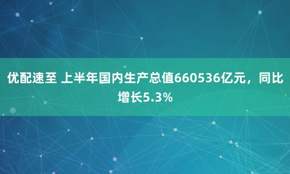 优配速至 上半年国内生产总值660536亿元，同比增长5.3%