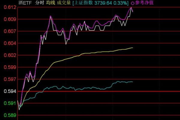 园十州 白酒概念股早盘大涨，酒ETF涨近3%