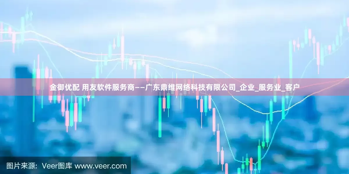 金御优配 用友软件服务商——广东鼎维网络科技有限公司_企业_服务业_客户